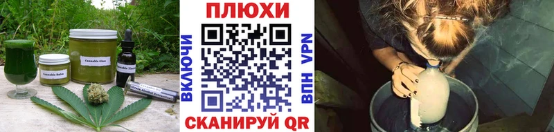 Cannafood конопля  Новозыбков 