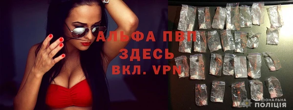 ECSTASY Нефтекумск