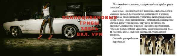 ECSTASY Нефтекумск