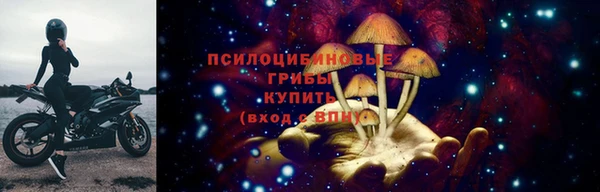 гидропоника Новокубанск
