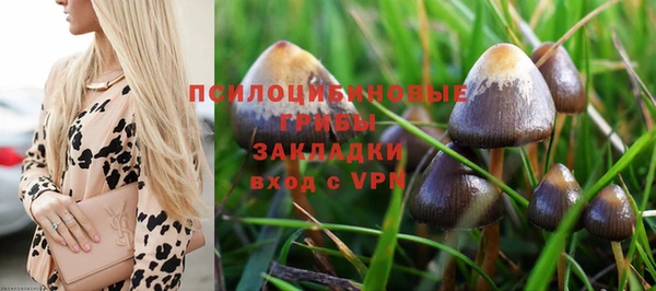 СК Нея