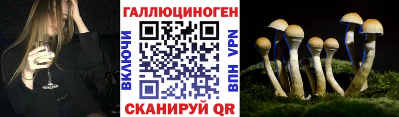 Галлюциногенные грибы MAGIC MUSHROOMS  Новозыбков 