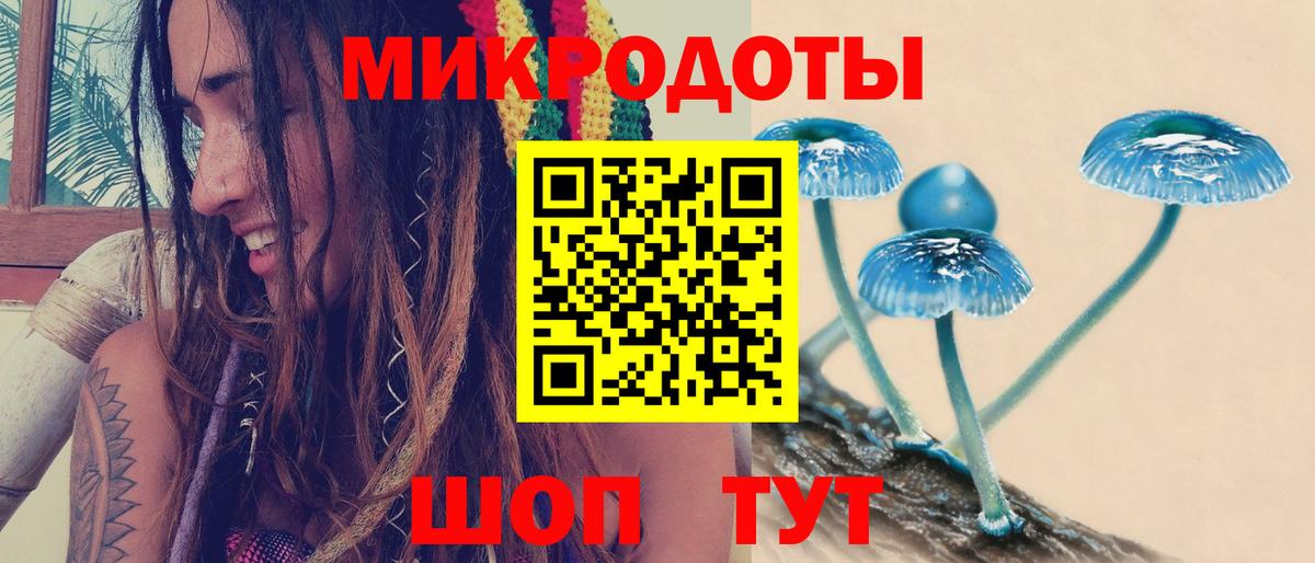 Псилоцибиновые грибы прущие грибы Новозыбков