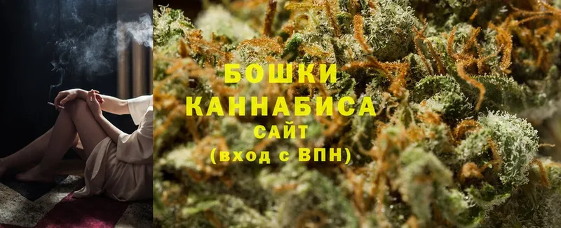 Марихуана конопля  shop официальный сайт  Новозыбков  как найти наркотики 